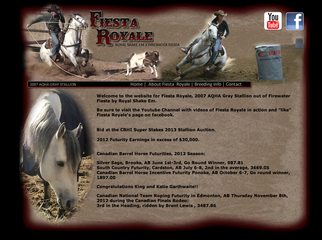 Fiesta Royale Gray Stallion